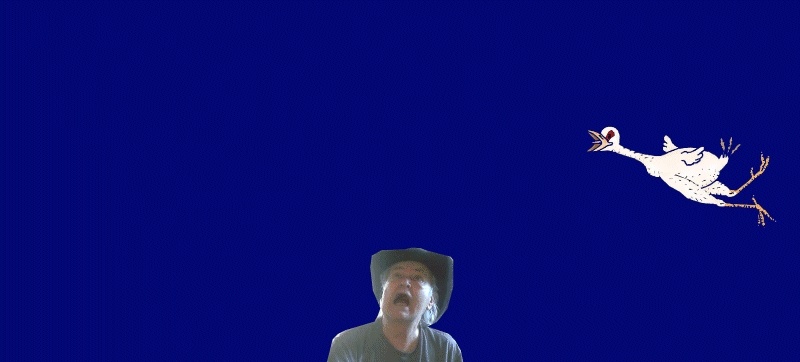 78posbj