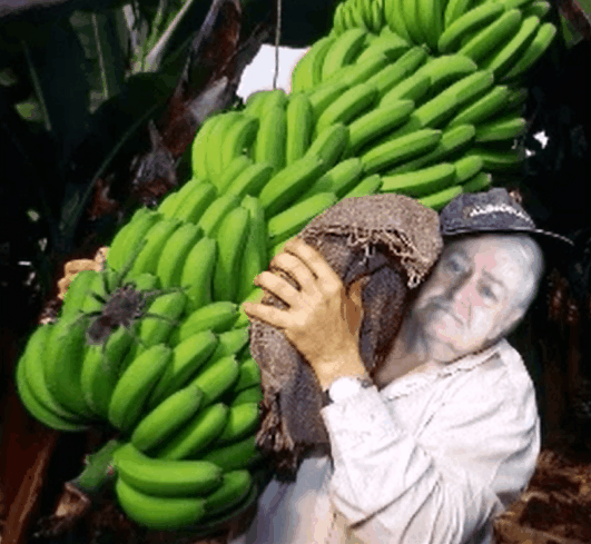 78ylgdg